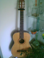 guitar