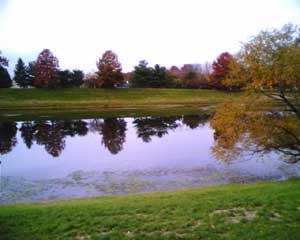 sample photo