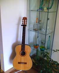 guitar