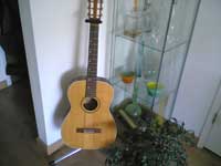 guitar