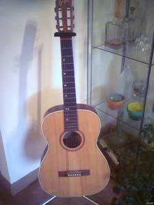 sample photo of guitar