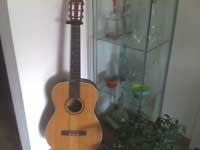 guitar