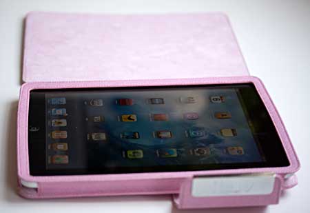 iLuv leather iPad case