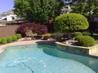 sample photo