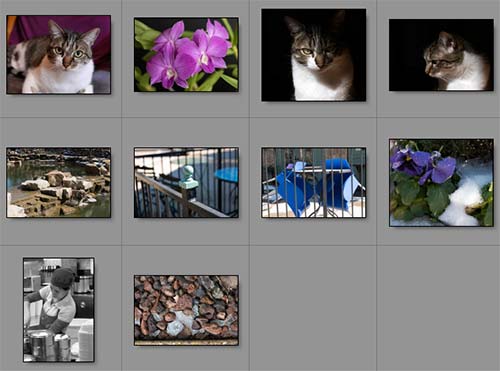 Panasonic Lumix LX100 sample image gallery