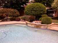 sample photo