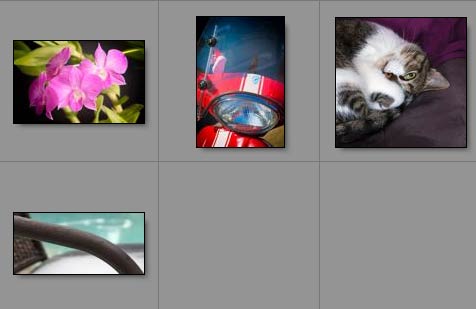 Canon PowerShot gallery