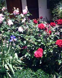 sample photo