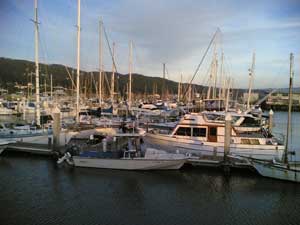 boats