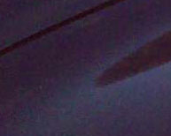 sample photo