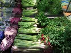 sample photo