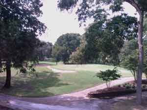 sample photo