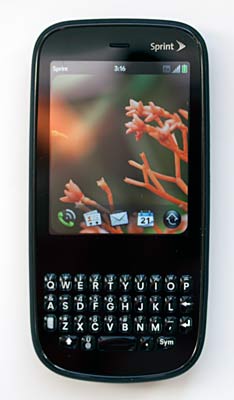 Palm Pixi