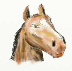 Samsung Galaxy Note Pro 12.2